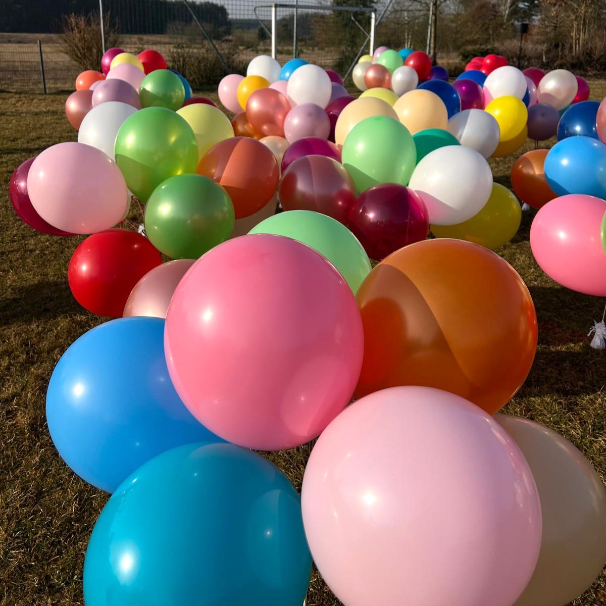 Bunte Latexballons in vielen Farben hängen unter einer Decke, alle mit Schnüren versehen-4