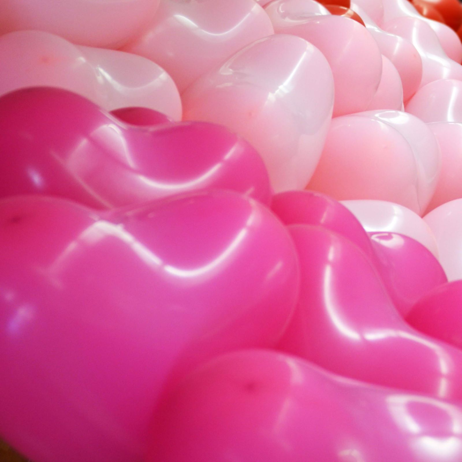 Vier Personen halten viele rosa herzförmige Heliumballons, bereit zum Steigenlassen-2